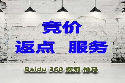 案例分析：竞价推广助力企业打造爆款产品